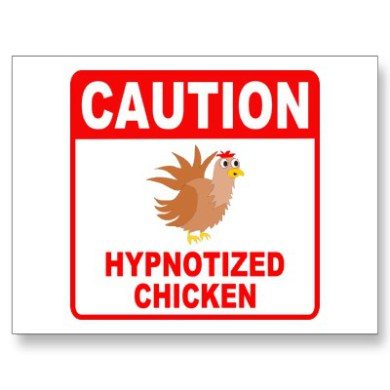 hypno-chicken-8833713