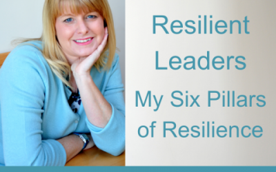 Lessons for Leaders 15: Resilient Leadership: My Six Pillars of Resilience